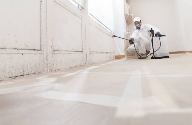 24/7 Emergency Mold Remediation experts in Newton, NJ