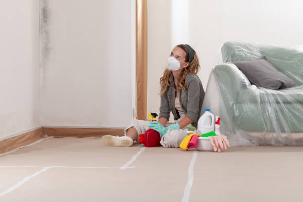 Reliable Mold Remediation contractor in Newton, NJ by Cheap Mold Removal